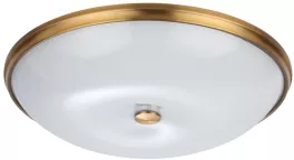 Настенно-потолочный светильник Pelow 4956/6 купить с доставкой по России