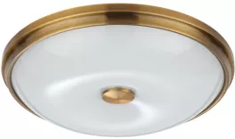 Настенно-потолочный светильник Pelow 4956/4 купить с доставкой по России