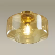 Потолочный светильник Odeon Light Binga 4747/1C купить с доставкой по России